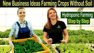 Hydroponic Farming Business Plan - How to Start Business Hydroponic Farm - Business Ideas at Home