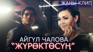 Айгуль Чалова - Журоктосун / Жаны клип 2019