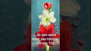 С Новым Годом! Христианское пожелание!