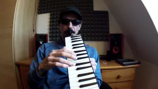 Swinging the Blues - Melodica Cover