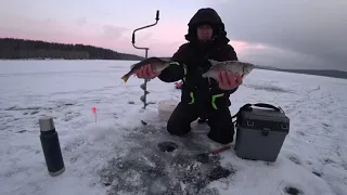 ПЕРВЫЙ ЛЁД 2020  БЕЗМОТЫЛКА НА БОЛЬШОЙ ВОДЕ  КРУПНЫЙ ОКУНЬ