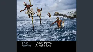 Easter Oratorio, BWV 249: Adagio