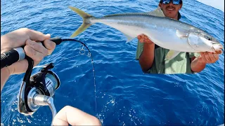 Gone Fishin | Sydney YellowTail Kingfish