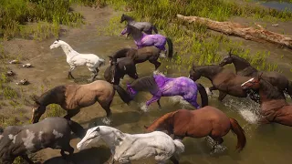 RDR 2 | ARTHUR BEST HORSE TAMER |  NEW ASTRA HORSE CAUGHT