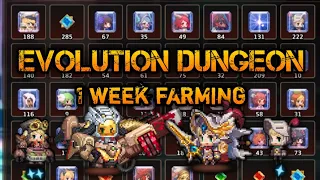 Guardian Tales - 1 Week Farming - Evolution Stones