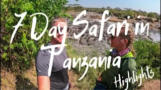 Incredible 7 day Serengeti Safari - July 2019