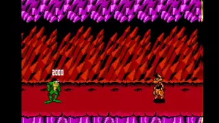 NES Longplay [051] BattleToads (US)