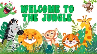 Animal Adventures: Exploring the Jungle |  JUNGLE ANIMALS FOR KIDS |  EDUCATIONAL VIDEOS FOR KIDS