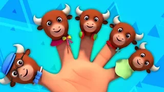 быки палец семья | Рифмы для детей | Детская музыка | Bulls Finger Family Rhyme