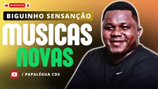 BIGUINHO SENSAÇÃO AS MAIS TOCADAS BIGUINHO SENSAÇÃO LANÇAMENTO NOVO