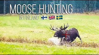 NH: Hirvijahti - Sonnin kaato | Hunt of a giant bull Moose | 2021