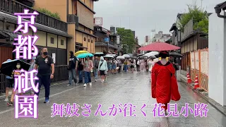 京都祇園 外国人観光客も感激！舞妓さんが往く花見小路を歩く Maiko in Gion,Kyoto 【4K】