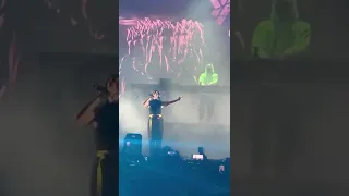 Alan walker performing faded @chennai sunburn arena