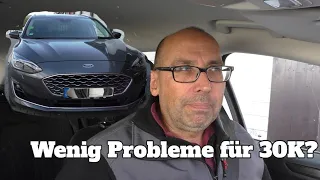 Ford Focus MK4 2.0 TDCI Vignale - Kaufempfehlung?