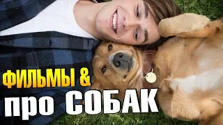 Лучшие фильмы про СОБАК (ТОП 11)