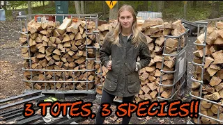 #283 3 IBC Totes, 3 Different Species of Firewood