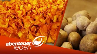 Knackig & lecker! Wie werden die besten Chips hergestellt? | Abenteuer Leben | Kabel Eins