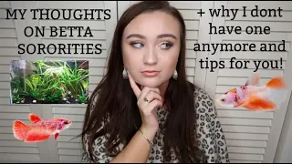 THE TRUTH ABOUT BETTA SORORITIES | MY SORORITY & TIPS | ItsAnnaLouise