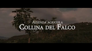 Ecco chi siamo...Azienda agricola Collina del Falco Carmignano