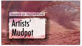 Mudpot at Artists' Paintpots — Sounds of Yellowstone ASMR, Sleep, Concentration, White Noise 1 Hour