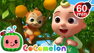 Grow Your Fruit Song 🍎🍊 | 🌈 CoComelon Sing Along Songs 🌈 | Preschool Learning | Moonbug Tiny TV