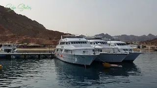 Going to the Port- Sharm El Sheikh Snorkeling Excursions & Diving Excursions||@SofiaEurasien-SofiaShares