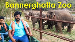 ஓசூர்-க்கு பக்கத்தில் Bannerghatta Zoo I Bangalore Bannerghatta National Park I Best Jungle Safari