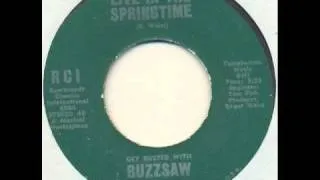 Buzzsaw - Live in the springtime (garage psych)