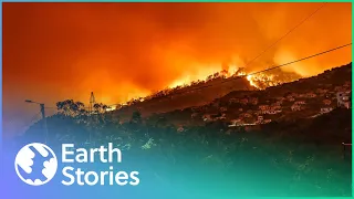 What Causes Wildfires Around The World? | Angry Planet | Earth Stories