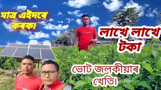 খেতি কৰি কেনেকৈ কমলহঁতে পায় লাখে লাখে  টকা?#কমল কাৰ্দং@prabhusvillagelive4061