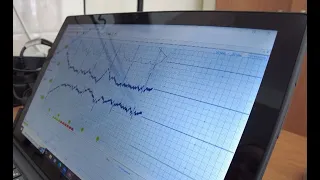 Специальная программа поможет юным вартовчанам выбрать спортивную секцию