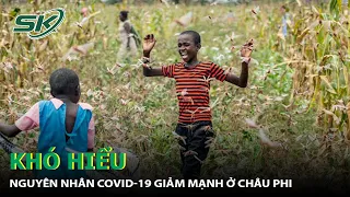 KHÓ HIỂU: Nguyên Nhân COVID-19 Giảm Mạnh Ở Châu Phi