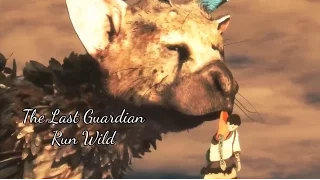 ○The Last Guardian | Trico | "Run Wild" | [GMV]○