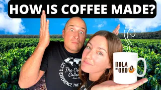 IT WILL SURPRISE YOU! Exploring the COFFEE CAPITAL of MEXICO! (Tour in Coatepec & Xico)