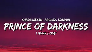 SHADXWBXRN, ARCHEZ, KXNVRA - PRINCE OF DARKNESS (1 Hour Loop) [Tiktok Song]