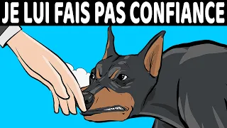 Comment Les Chiens Peuvent Reconnaître Les Mauvaises Personnes (Et D'autres Capacités Cool)