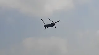 CH-47 (RAF) Duxford, May 2018.