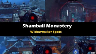 Insane Widow Spots on Shambali Monastery