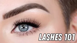 False Eyelashes 101 | Lashes Tips and Tricks for Beginners