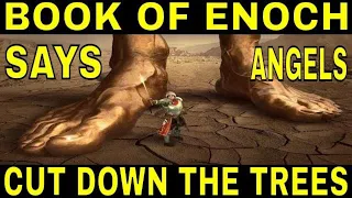 BOOK OF ENOCH SAYS ANGELS CUT DOWN THE TREES || ANGELS CUT DOWN THE TREES || PART 2