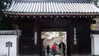 京都嵐山、天龍寺二尊院、野々宮神社、嵯峨野散策　2014 4 2