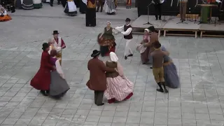 Belgian folk dance De Loere 480p cp