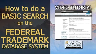 How To Do A Basic Search On The Federal Trademark Database System | Dragon Law Group | Joe Dragon