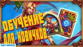 Hearthstone гайд для новичков.  Как начать играть в хартстоун в 2022 году