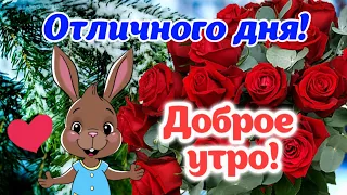 Доброе Утро! ☕️ Хорошего Дня! 🌸 Отличного Настроения! 🥳 Красивые пожелания с Добрым Утром! 💐