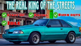 FOXBODY Super Compilation | All my favorite clips from YouTube | This video has it all | #foxbody