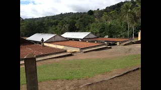 FAZENDA DE CACAU A VENDA EM ITACARÉ BA