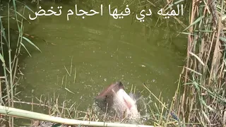 الميه دي فيها سمك مش بيطلع من حجمه  ريمه وغله بضيع بس ربك كريم