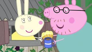 Peppa Pig S04E48 The Fish Pond