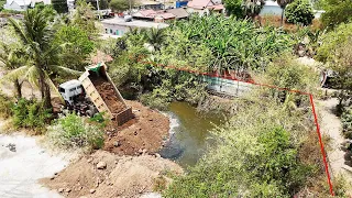 New Project! Excellent Skill showing of Dump Truck And Caterpillar bulldozer D4k Filling up The Pond